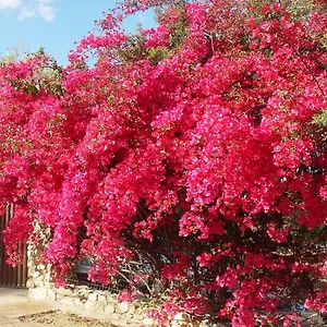 Casa vacanze Villetta A 300mt Dal Mare, Cala Sinzias